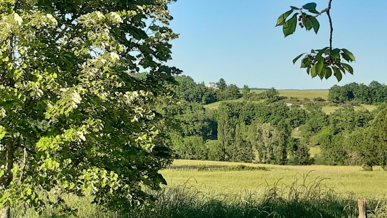 Ferme Brasseyrou - B&B Classique Devillac Экстерьер фото