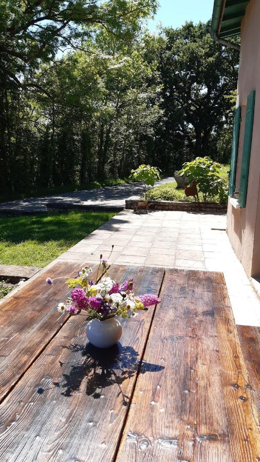 Ferme Brasseyrou - B&B Classique Devillac Экстерьер фото